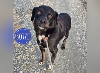 Botzi ein Engel mit gebrochenen Flügeln