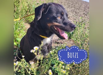 Botzi ein Engel mit gebrochenen Flügeln