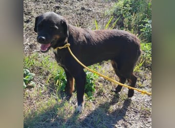 Botzi ein Engel mit gebrochenen Flügeln