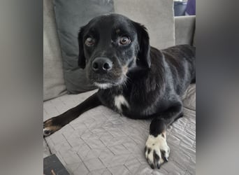 Botzi ein Engel mit gebrochenen Flügeln