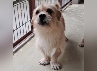 OFFICE TAUT LANGSAM AUF