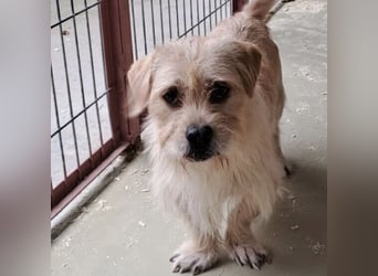 OFFICE TAUT LANGSAM AUF