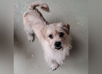 OFFICE TAUT LANGSAM AUF