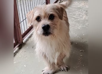 OFFICE TAUT LANGSAM AUF