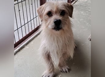 OFFICE TAUT LANGSAM AUF