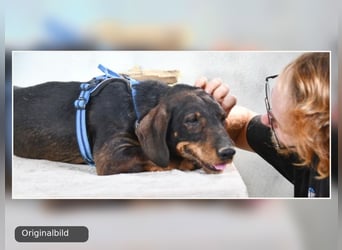 Tank - bereit fürs große Glück