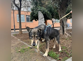 LOBITO