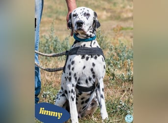 Jimmy SI, noch etwas unsicher