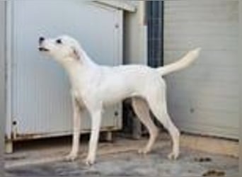 Monia- stille Sehnsucht nach Geborgenheit