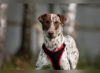 Hübsche Kira sucht ihre Menschen