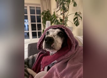 Damit Bella sich geborgen fühlt – ein Herzplatz ohne Einsamkeit