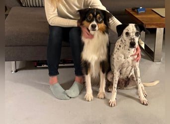 Damit Bella sich geborgen fühlt – ein Herzplatz ohne Einsamkeit