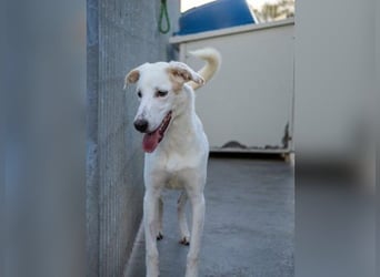 Marilia - ein Clown braucht Zeit zum Vertrauen