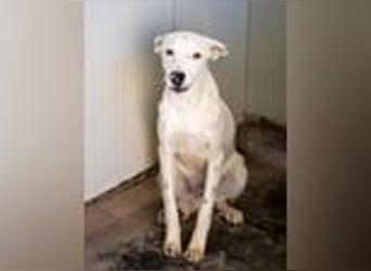 Markus- Ich möchte so gern die Welt kennenlernen