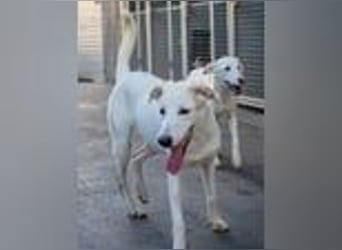 Marilia - ein Clown braucht Zeit zum Vertrauen