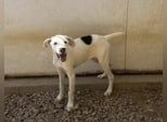 Markus- Ich möchte so gern die Welt kennenlernen