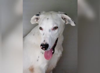 Markus- Ich möchte so gern die Welt kennenlernen