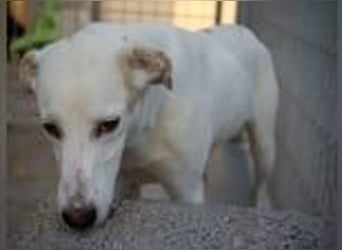 Marilia - ein Clown braucht Zeit zum Vertrauen