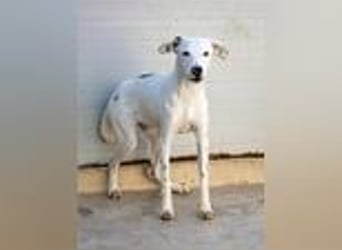 Markus- Ich möchte so gern die Welt kennenlernen