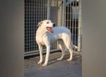 Marilia - ein Clown braucht Zeit zum Vertrauen