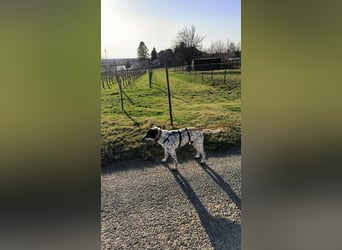 Wasabi - freundlich und offen