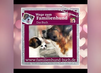 Das Buch zum Welpen: Wege zum Familienhund