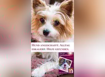 Das Buch zum Welpen: Wege zum Familienhund