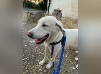BLANCA