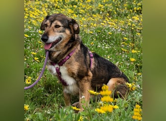 Emily – sucht nach Geborgenheit