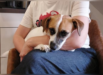 Izzy sucht ihre Familie!