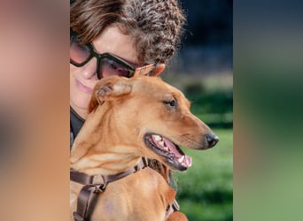 Ciana – sucht liebevolle und geduldige Menschen