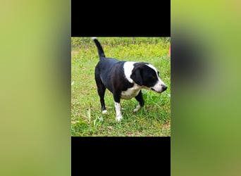 Ritchie der Kinderliebe