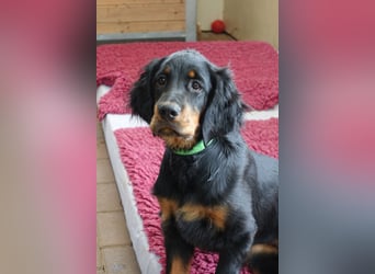 Die liebenswerte anschmiegsame Sheila sucht Lebenspartner