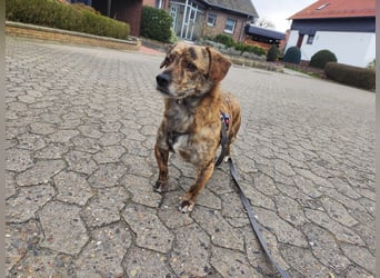 Phineas: „jetzt aber endlich eine eigene Familie"