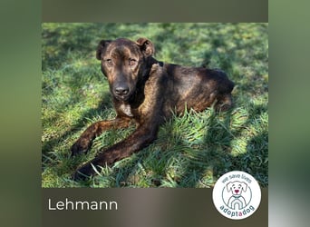 Lehmann: erzählt seine Geschichte