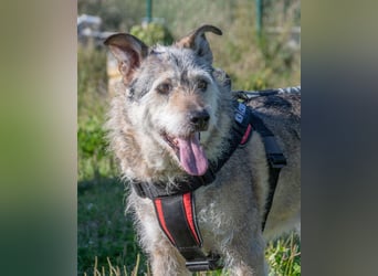 Lucky – mit Handicap
