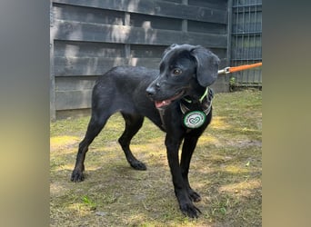 Shadow unsere Prinzessin...