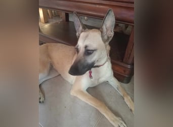 Liebe PRINCESA sucht ihr Traumkörbchen