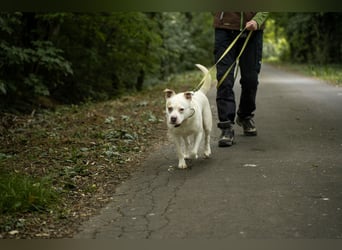 Berni auf der Suche nach ihren Menschen