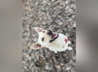 Mila, erwachsene Frau der vielen Facetten