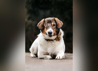 Besondere Agatha sucht ihre Menschen