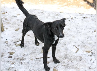 Kuckuck, zauberhafte FIONA sucht liebevolle Familie