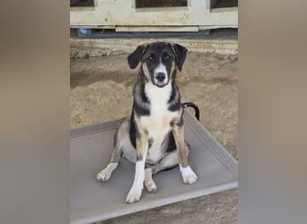Wilma wünscht sich eine tolle Familie!