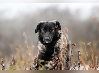 Vorsichtige Tama sucht ihre Familie