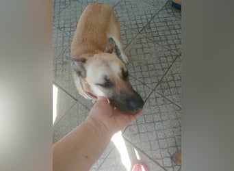 Liebe PRINCESA sucht ihr Traumkörbchen