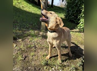Lilo eine freundliche kleine Prinzessin