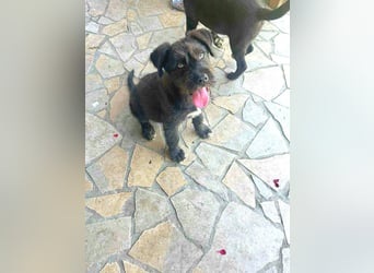 Eléa – Kleine Entdeckerin mit großem Herz sucht Zuhause