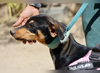 Amy, offen, neugierig und intelligent