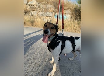 KIKA