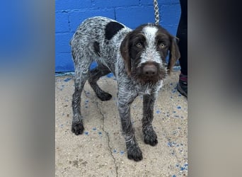 Fito, ein bezaubernder Bube